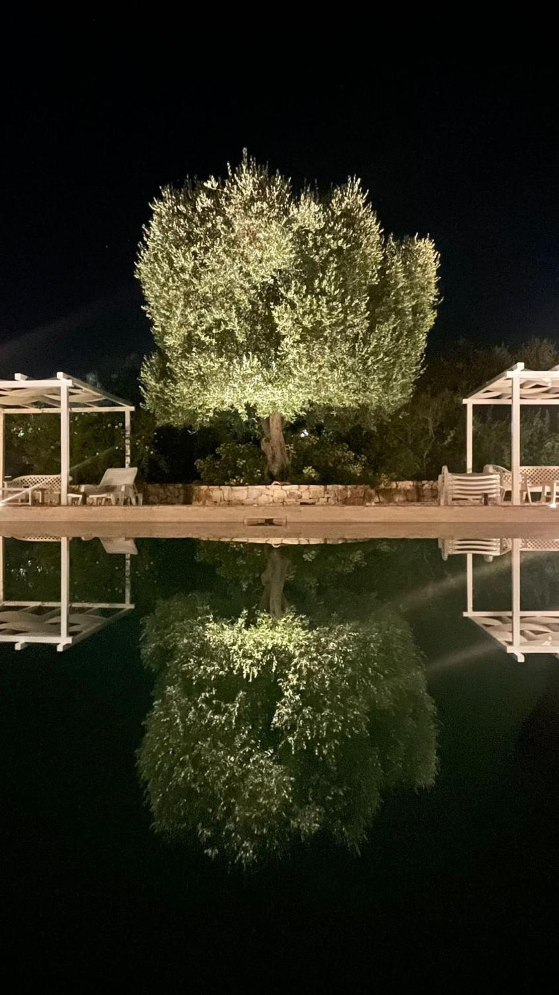 Caserurali Ceglie Messapica Dış mekan fotoğraf