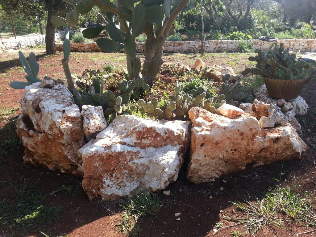 Caserurali Ceglie Messapica Dış mekan fotoğraf